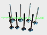 Intake valve and outtake valve for Weifang diesel Engine 295/495/4100/4105/6105/6113/6126 Engine Parts