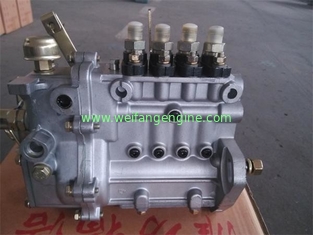 Laidong LL380,LL380B,KM385B,LL480B,KM485B,4L22B,KM496,KM4100 Engine Fuel Pump